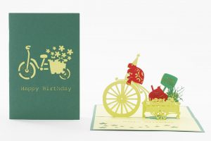 Birthday pop up card: Turtle on a Bike delivering happy birthday greetings and gifts (cover and inside)