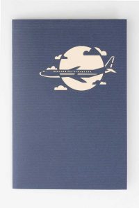 Greeting Cards for Any Occasion: Airplane (cover)